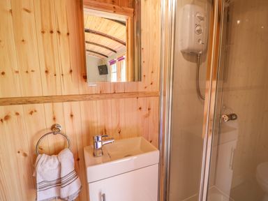 A bathroom with a small sink towel ring mirror and shower enclosure at Railway Carriage in Govilon
