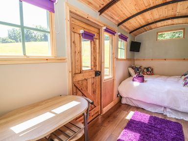 A small room with a wooden table and chair a wooden door windows with purple blinds a bed with colorful pillows and a purple rug on the floor at Railway Carriage in Govilon
