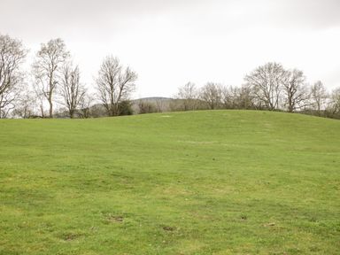 A grass field with leafless trees in the background at Railway Carriage in Govilon