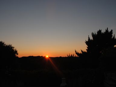 A sunset behind a tree-lined horizon with a clear sky at Trenant View in Wadebridge