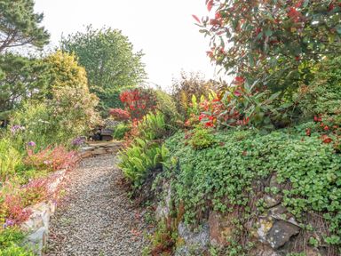 A gravel garden path bordered by various green plants and shrubs with a wooden bench at Trenant View in Wadebridge