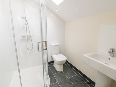 A bathroom with a shower enclosure toilet and sink at Bothi in Llanuwchllyn
