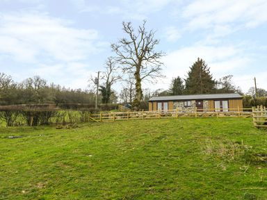 A stone and wood house with a fenced yard and trees on a grassy hill at Bothi in Llanuwchllyn
