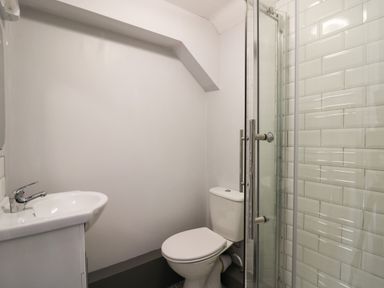 A small bathroom with a sink a toilet and a glass shower enclosure at Pengraig near Tregaron