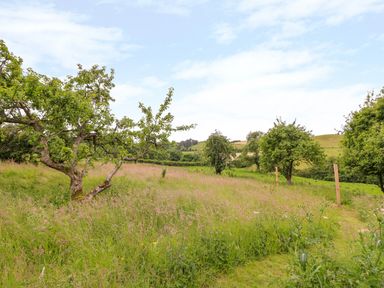 A grassy field with several trees and wooden posts under a cloudy sky at The Old Farmhouse Upper Pitts in Knighton