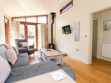 A living room with a grey sofa and armchair a wooden coffee table a wall mounted television and a wood burning stove at Brooke in Exton Rutland