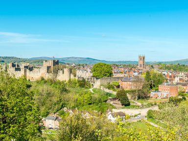 A landscape view of a castle with surrounding buildings and greenery in a town