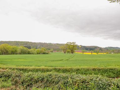 A green field with trees and distant hills under a cloudy sky at Bower View in Madley