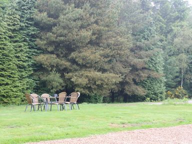 An outdoor scene with a table and six chairs on grass near tall trees at Heron Lodge in Mavis Enderby near Spilsby