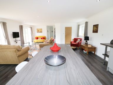 An open-plan living room and dining area with sofas a red armchair and a wooden table with decorative bowls at Heron Lodge in Mavis Enderby near Spilsby