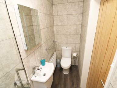 A small bathroom with a toilet sink mirror and wooden door at Heron Lodge in Mavis Enderby near Spilsby