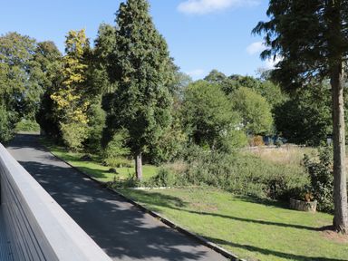 A driveway with trees and grass on both sides at Manor House in Warkworth