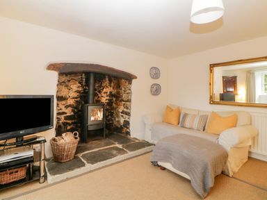 A living room with a fireplace television a sofa with cushions and a large mirror on the wall at Crannacombe Farmhouse in Loddiswell