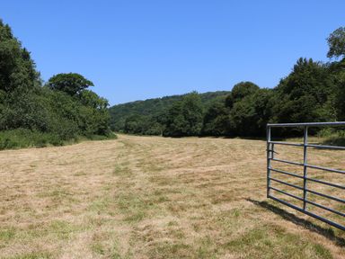 A grassy field with trees on both sides and a metal gate on the right at Crannacombe Farmhouse in Loddiswell