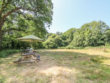 A wooden picnic table with an umbrella and chairs on a grassy area surrounded by trees at Crannacombe Farmhouse in Loddiswell