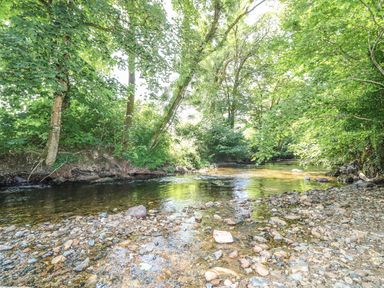 A shallow river with a rocky shore and trees along the riverbank at Crannacombe Farmhouse in Loddiswell