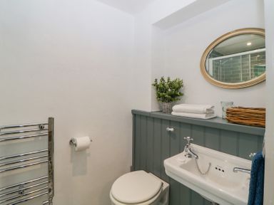 A small bathroom with a toilet a sink a towel rack and an oval mirror at Crannacombe Farmhouse in Loddiswell