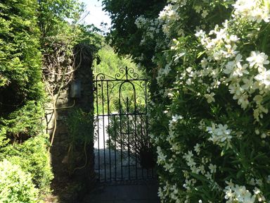 A black metal garden gate surrounded by green bushes and white flowers at The Cider Barn in Loddiswell