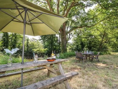 An outdoor setting with a picnic table and umbrella and a dining table with chairs in a grassy area with trees at The Cider Barn in Loddiswell