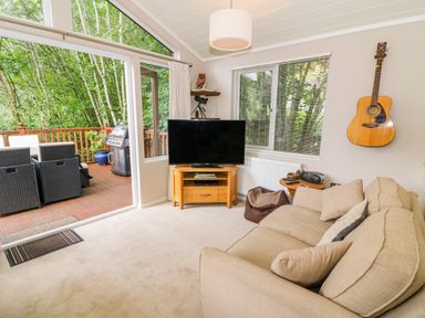 A living room with a beige sofa TV on a wooden stand guitar on the wall and sliding door to a deck with outdoor furniture at Willow Lodge in Troutbeck Bridge