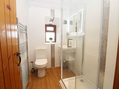 A bathroom with a toilet a shower a sink a window with a plant and a wooden door at Sgubor in Chwilog