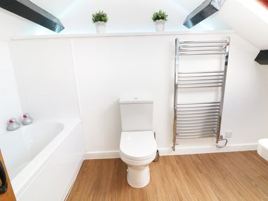 A bathroom with a toilet bathtub with two duck decorations a towel rail and two potted plants at Sgubor in Chwilog
