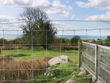 A fenced grassy field with rocks and trees overlooking the sea at Sgubor in Chwilog