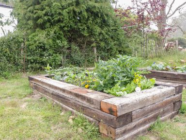 A raised wooden garden bed with various green plants and flowers surrounded by grass and trees at The Milking Barn in Yeovil Somerset