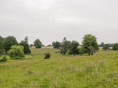 A grassy field with scattered trees and a small road at The Milking Barn in Yeovil Somerset