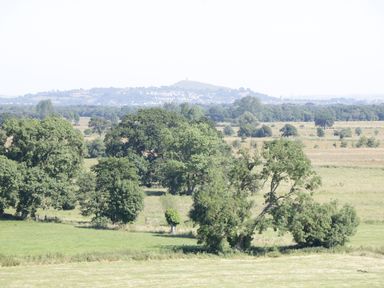 A rural landscape with trees and fields with a hill and buildings in the background at Heron Lodge Castle Farm in Wedmore