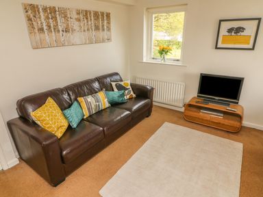 A living room with a brown leather sofa with cushions a wall painting a window with flowers a TV on a wooden stand and a beige rug at Latterbarrow Hawkshead