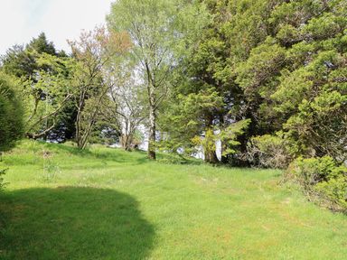 A grassy garden area with various trees and shrubbery at Latterbarrow in Hawkshead