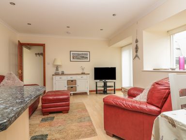 A living room with red leather sofas a television on a stand a white sideboard with a lamp and decorations at Sorrel Cottage in Padstow