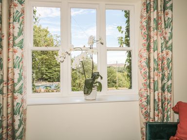 A window with a white orchid on the sill and patterned curtains a green chair with a red cushion at Newbiggin Cottage in Blanchland