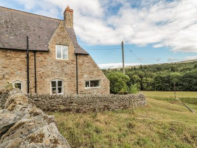 A stone house with three windows and a stone wall in a grassy field with trees and a pole in the background at Newbiggin Cottage in Blanchland