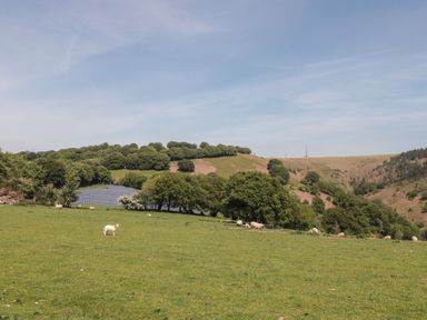 A field with solar panels and sheep at Penrhiwarwydd Barn in Pontywaun