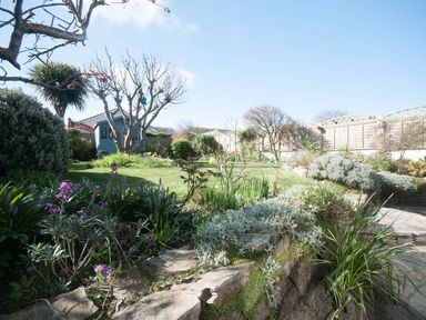 A garden with plants trees shrubs and a blue shed at Keelyn in Crantock