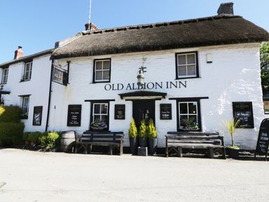 The exterior of a white building with a thatched roof named Old Albion Inn with benches and plants outside
