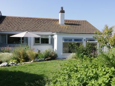 A garden with plants and an umbrella outside a white house with a tiled roof at Keelyn in Crantock