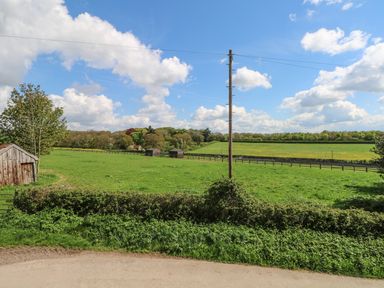 A rural landscape with green fields wooden sheds a tree and a telephone pole at Downs View Dairy in West Tytherley