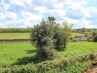 A green field with several trees and a house in the distance at Downs View Dairy in West Tytherley