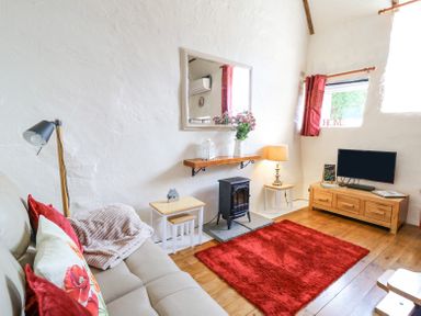 A living room with a sofa red pillows a red rug wooden floor a small stove and a television on a wooden cabinet at Rose Cottage in Penrhiwllan