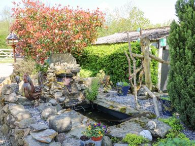 A garden pond with a small waterfall stone surround metal rooster sculpture and various plants at Rose Cottage in Penrhiwllan