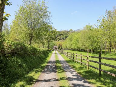 A gravel driveway lined with wooden fences and green trees leading to a house at Rose Cottage in Penrhiwllan