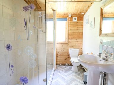 A bathroom with a shower cubicle decorated with flower decals a white toilet and a white sink at Brook Lodge in Penrhiwllan