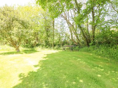 A grassy garden area with a wooden bench near trees and bushes at Brook Lodge in Penrhiwllan