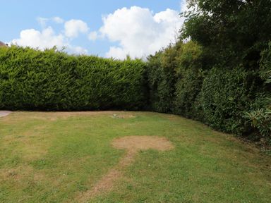 A garden with grass and hedges at Tan Y Goeden in Morfa Nefyn
