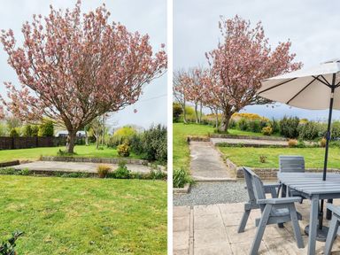 A garden with a cherry blossom tree and a paved patio area with grey outdoor furniture and an umbrella at Pentowyn in Holyhead