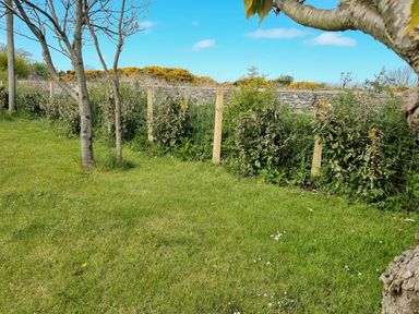 A grassy outdoor area with trees and a wire fence with wooden posts along a stone wall at Pentowyn in Holyhead