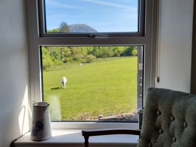 Window view of a green field with grazing animals a ceramic pitcher on the windowsill and a green upholstered chair in the foreground at Moelwyn View Cottage in Llan Ffestiniog